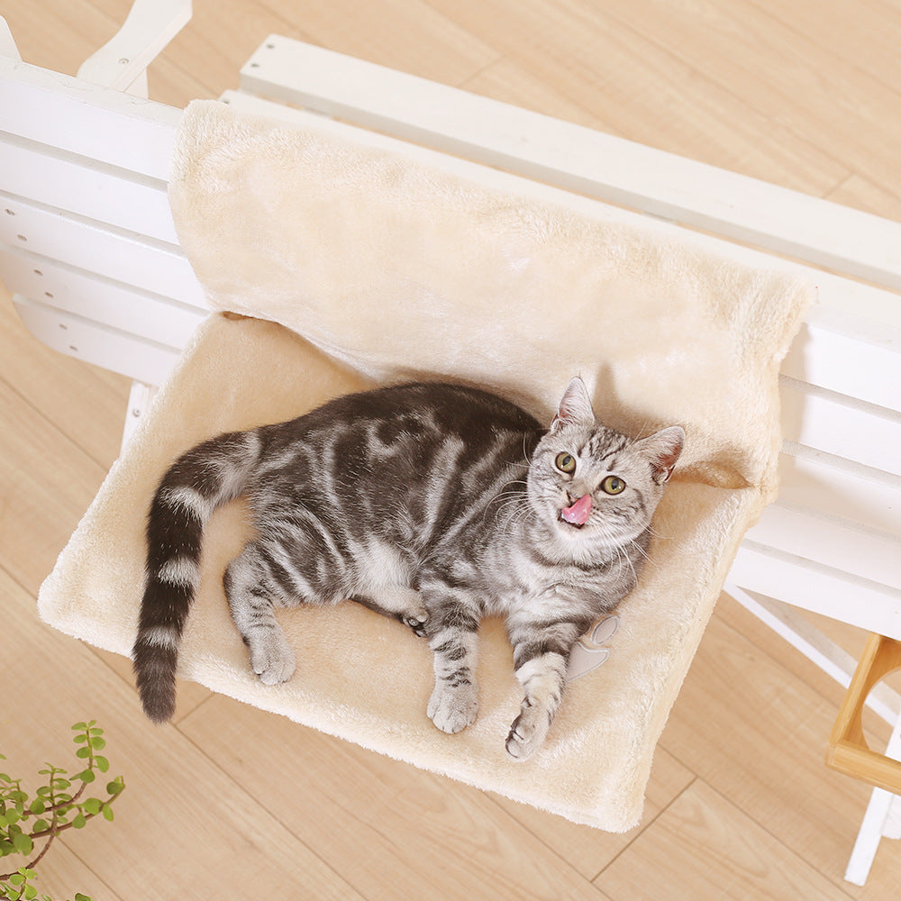 For your cat