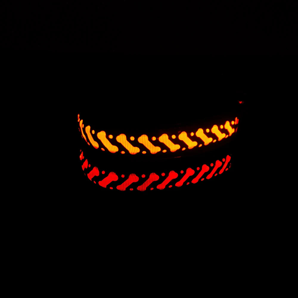 Luminous Pattern Collar for Dogs