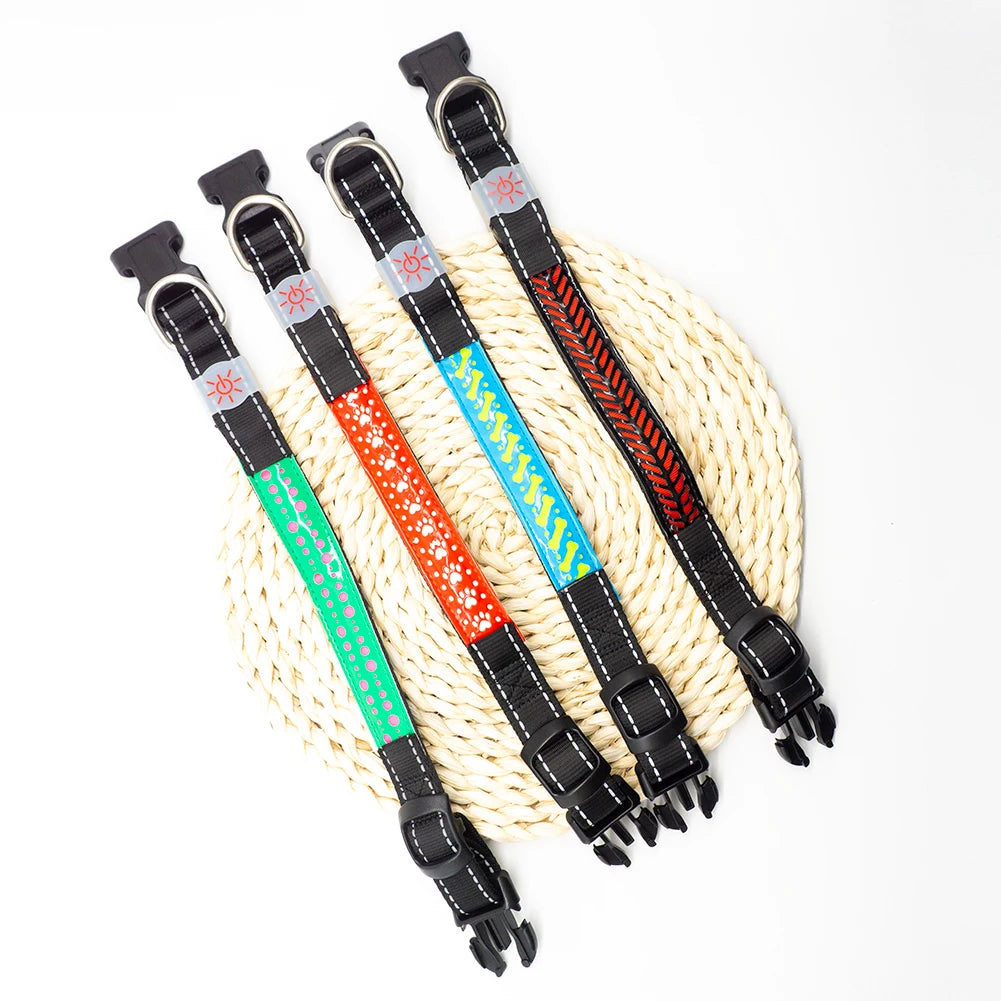 Luminous Pattern Collar for Dogs