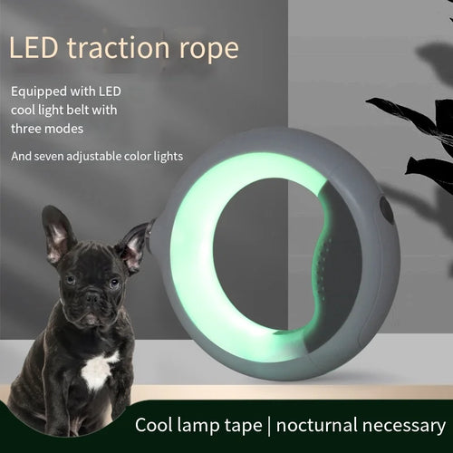 Automatic Retractable Dog Traction Rope