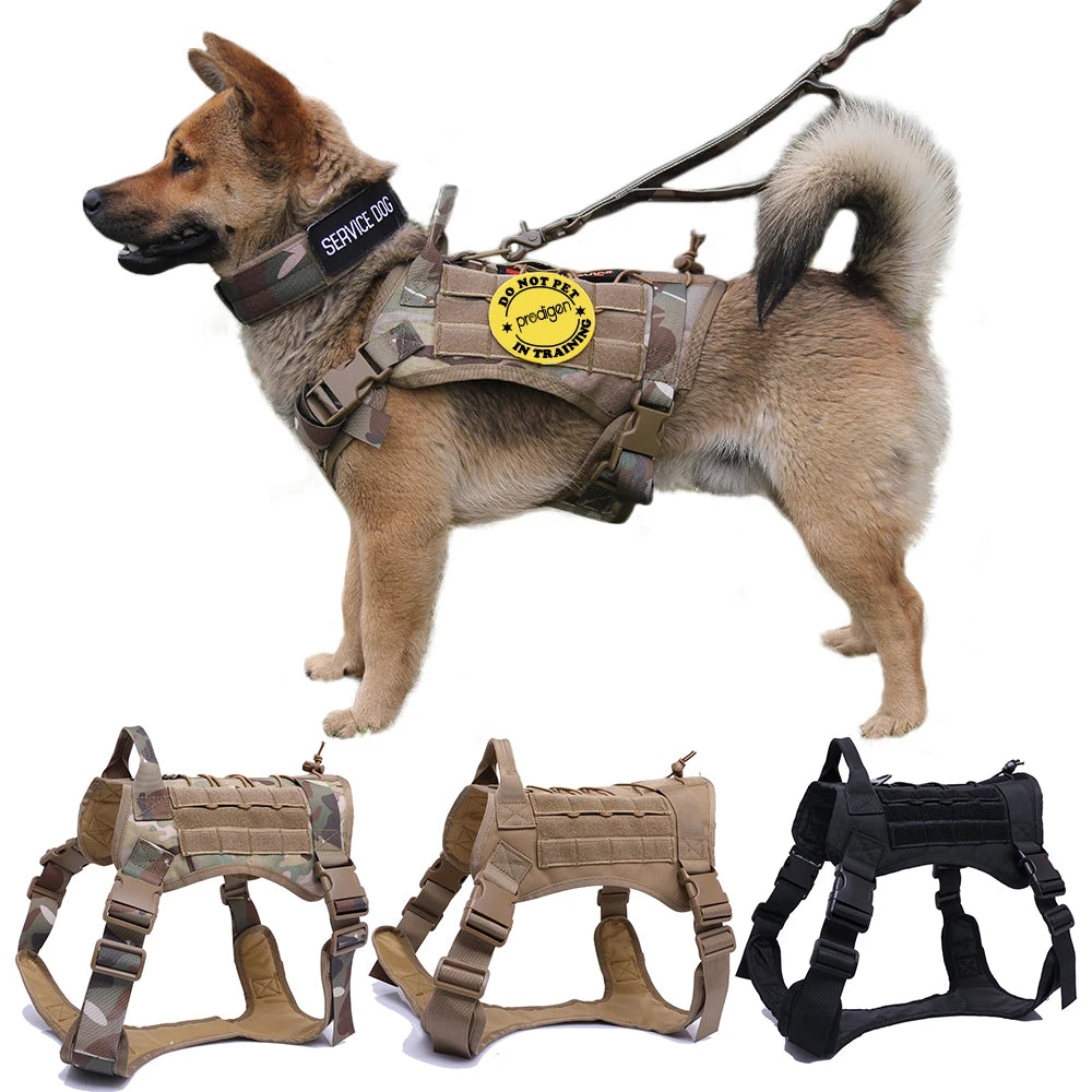 Dog Training Vest And Leash