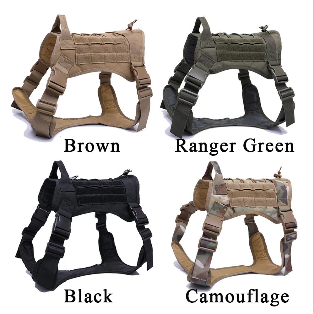 Dog Training Vest And Leash