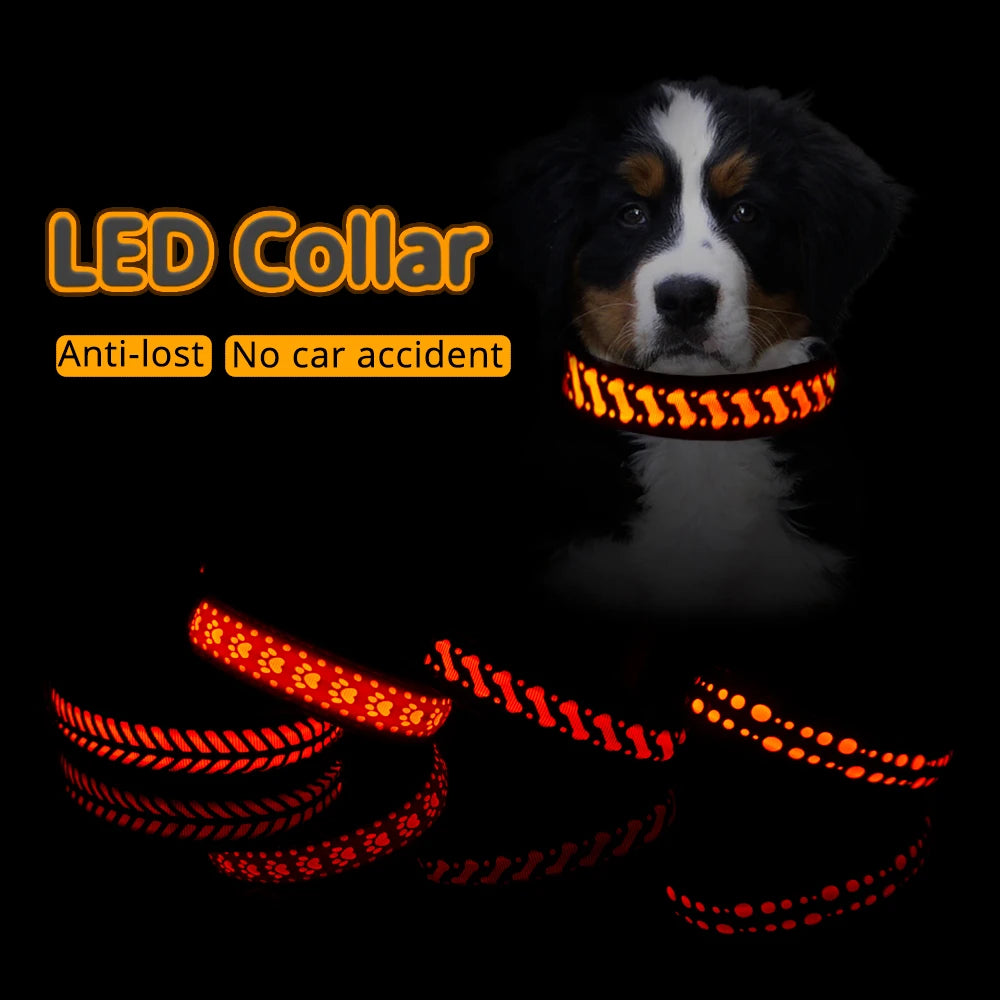 Luminous Pattern Collar for Dogs