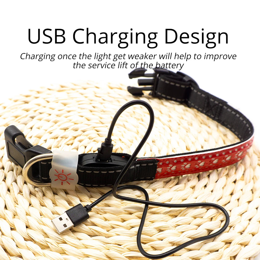 Luminous Pattern Collar for Dogs