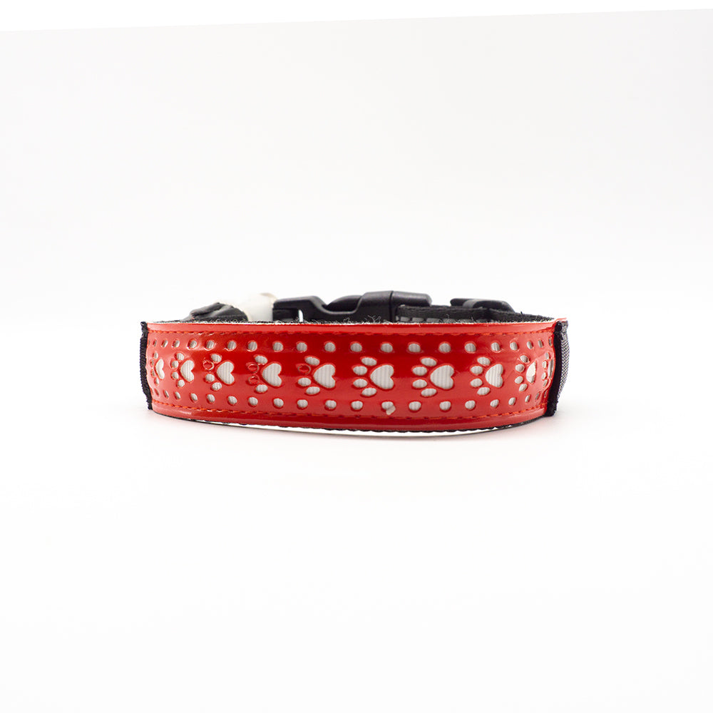 Lysande halsband för hundar