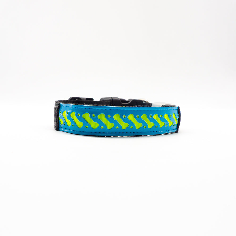 Lysande halsband för hundar