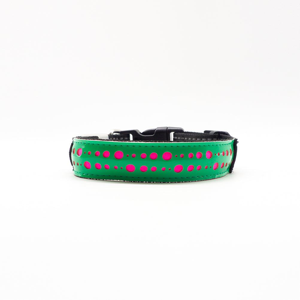 Lysande halsband för hundar