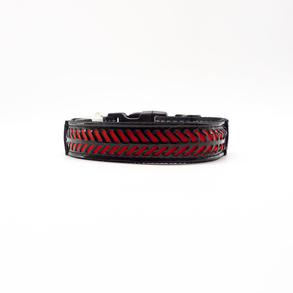 Lysande halsband för hundar