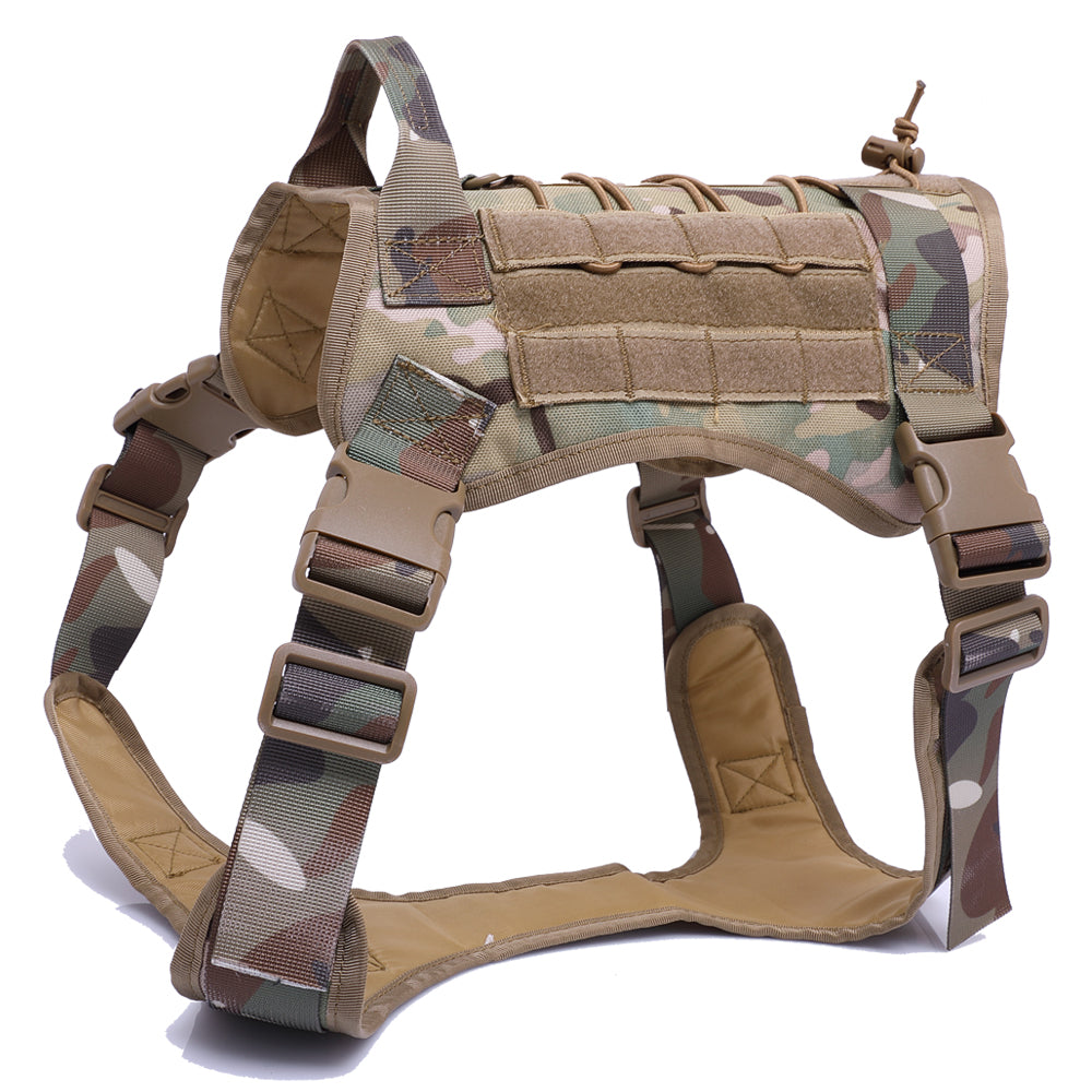 Dog Training Vest And Leash